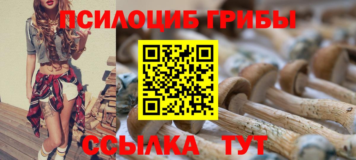 Галлюциногенные грибы Psilocybine cubensis Янаул