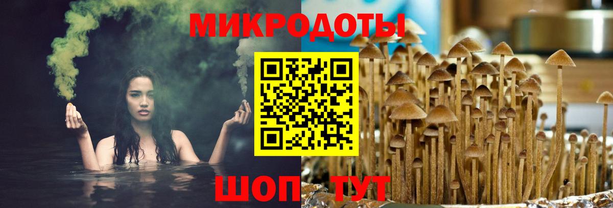 Галлюциногенные грибы мухоморы  Псилоцибиновые грибы Cubensis  где купить наркоту  Вход с VPN  Янаул 